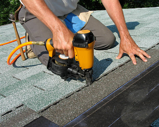 Best Roof Gutter Cleaning  in Bamberg, SC